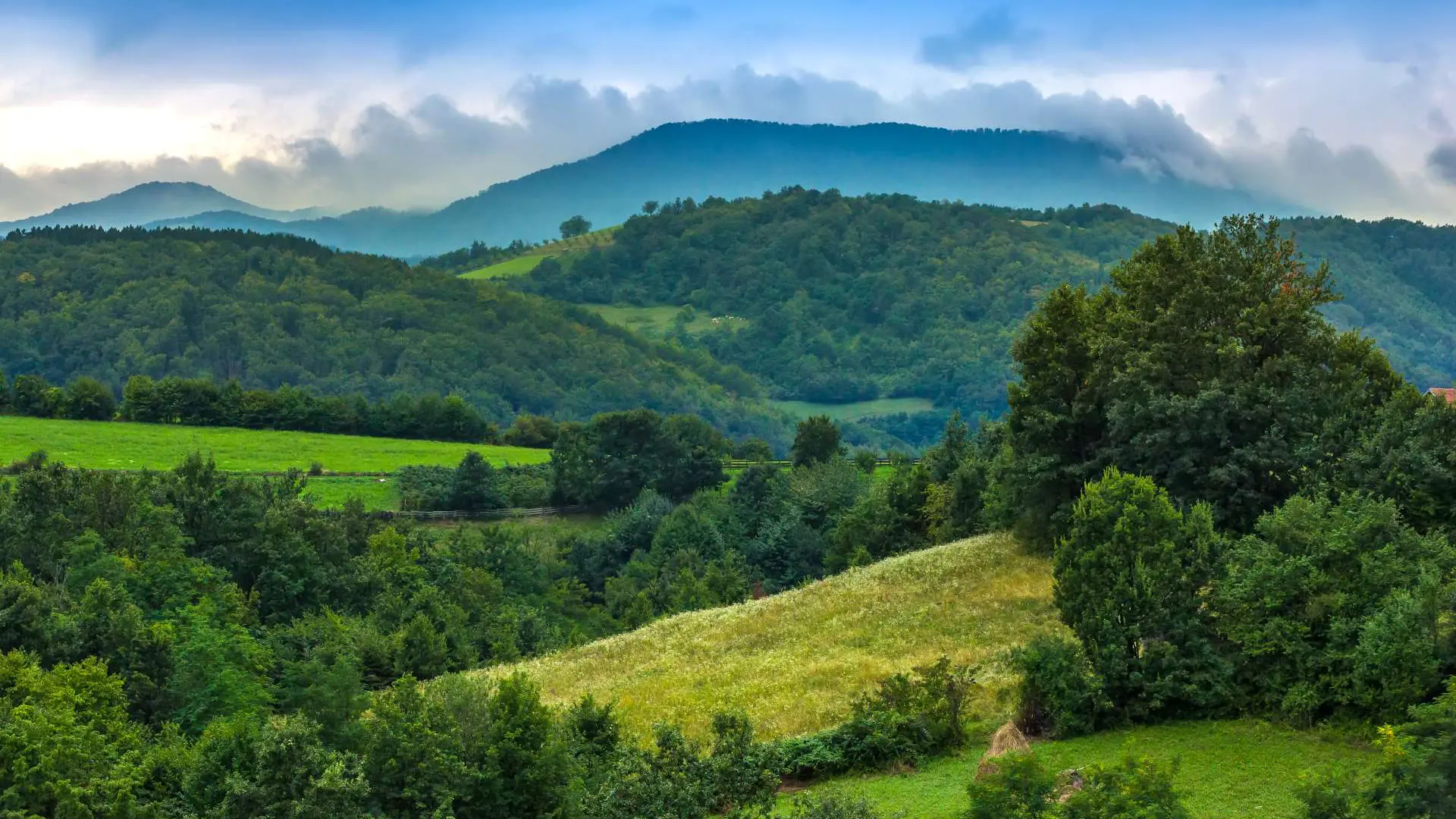 green landscape with sky view
